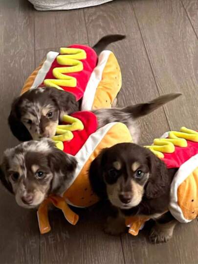 Hot Dog Dog Costume With Mustard & Ketchup - Cute Wiener Dog Outfit With Snap Fasteners, Soft Costume For Small To Medium Pets, Easy Dressing & Comfortable For Themed Parties, Vet Visits, Photo Shoots - Ideal For Pomeranians, Chihuahuas, Shih Tzus, Poodles - Adorable Hot Dog Costume With Snap Buttons, Durable & Comfortable For Festive Occasions, Perfect For Small Dogs.