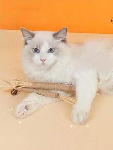 3/6pcs Cat Chew Toys, & Durable Catnip, Sisal Rope Cat Teeth Cleaning Chew Sticks - Brown - View 6