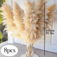 10/15/20 Bunches 39 Inch Tall Fluffy Natural Pampas Grass Bundles - Bohemian Farmhouse Wedding Arch & Home Decor, Christmas/Valentine's DIY Vase Filler, Living Room/Bedroom/Party Decoration, Floral Arrangement, Gift Wrapping, Shedless (Container Not Included) - Multicolor - View 14