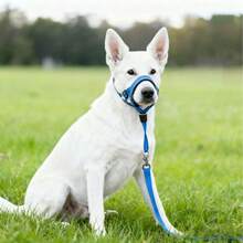 Adjustable Dog Muzzle, Anti-Bite Anti-Swallow Anti-Lick, Pet Muzzle, Training Leash Set, Suitable For Small And Large Dogs, And Comfortable Breathable