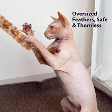 1pc New Realistic Feather Duster, Cat Teaser Wand With Feather & Sisal Rope Handle, Scratch & Bite Resistant, Helps Cats Relieve Boredom And Consume Energy, Pet Supplies - Multicolor - View 2