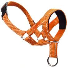 Adjustable Dog Muzzle, Anti-Bite Anti-Swallow Anti-Lick, Pet Muzzle, Training Leash Set, Suitable For Small And Large Dogs, And Comfortable Breathable