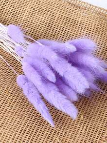 30/60 Pcs Pampas Dried Flowers, Dried Pampas Grass Feathers Decoration, Natural Dried Flowers, Reed Flower Stems Bundle, Natural Dried Pampas Grass Branches, Gorgeous Flowers, Fluffy Dried Plants, Vase Fillers, Decorate Home, Kitchen, Garden Party, Photoshoot, Flower Arrangement, Vase Decoration, Suitable For Kitchen, Home, Boho Decoration,Room Decor,Christmas,Christmas Decoration - Primary Color - View 13