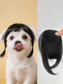 Cute Short Pet Wig, Funny Wig Accessories For Dogs And Cats, Creative Pet Supplies, Summer Gift, Cat Products, Pet Products, Dog Grooming Kit, Pet Supplies, Puppy Toy