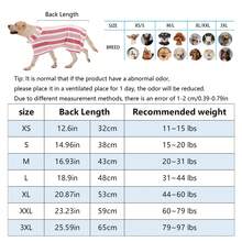 速干狗浴袍，条纹狗毛巾浴袍，超强吸水宠物浴袍，带可调节腹带，面料柔软