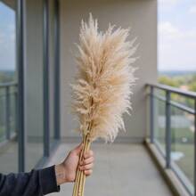 8/10/16/20 Bunches 100cm Pampas Grass Bouquet | Farmhouse Natural Style Extra Long Fluffy Pointed Design, Low Maintenance Bedroom Christmas Decor/Christmas DIY Holiday Arrangement/Floor Decor/DIY Enthusiasts [Extra Long][Low Maintenance Plant][Fluffy Style] - Khaki - View 8