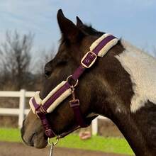TGW RIDING High Quality Mane Tamer, Smooth Memory Fabric Abrasion-Resistant Outer Layer, Detachable Anti-Rub Fur Trim On Nose Bridge, Cheeks, And Nape, Quick Release Buckles, Available In Small, Medium, And Large Sizes - Multicolor - View 25