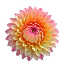 3D Chrysanthemum Silicone Resin Mold, For Polymer Clay, Candle, Resin - Round Earring Making Tool, Multifunctional DIY Jewelry Craft Supplies, Suitable For Valentine's Day, Wedding, Birthday, Christmas, Decoration