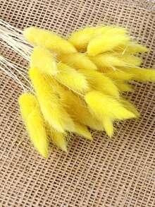 30/60 Pcs Pampas Dried Flowers, Dried Pampas Grass Feathers Decoration, Natural Dried Flowers, Reed Flower Stems Bundle, Natural Dried Pampas Grass Branches, Gorgeous Flowers, Fluffy Dried Plants, Vase Fillers, Decorate Home, Kitchen, Garden Party, Photoshoot, Flower Arrangement, Vase Decoration, Suitable For Kitchen, Home, Boho Decoration,Room Decor,Christmas,Christmas Decoration - Primary Color - View 22