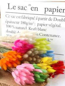 30/60 Pcs Pampas Dried Flowers, Dried Pampas Grass Feathers Decoration, Natural Dried Flowers, Reed Flower Stems Bundle, Natural Dried Pampas Grass Branches, Gorgeous Flowers, Fluffy Dried Plants, Vase Fillers, Decorate Home, Kitchen, Garden Party, Photoshoot, Flower Arrangement, Vase Decoration, Suitable For Kitchen, Home, Boho Decoration,Room Decor,Christmas,Christmas Decoration - Primary Color - View 4