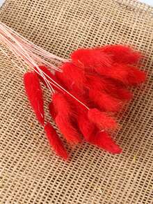 30/60 Pcs Pampas Dried Flowers, Dried Pampas Grass Feathers Decoration, Natural Dried Flowers, Reed Flower Stems Bundle, Natural Dried Pampas Grass Branches, Gorgeous Flowers, Fluffy Dried Plants, Vase Fillers, Decorate Home, Kitchen, Garden Party, Photoshoot, Flower Arrangement, Vase Decoration, Suitable For Kitchen, Home, Boho Decoration,Room Decor,Christmas,Christmas Decoration - Primary Color - View 17