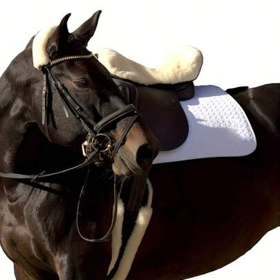 Equestrian Dressage Girth, Horse Belly Band With Fake , Available In Multiple Sizes