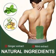 Green Bone 腰部贴片，适用于肩颈、手部、背部、足部 - 天然成分贴片，不含化学物质，适合敏感肌肤，居家使用，舒适不刺激，护肤程序，无化学成分护肤，护肤配件，护肤爱好者，肩部支撑，纯植物护理，自发热，每片可持续使用 8 小时。 - 彩色 - 查看 2