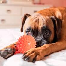 Fancy Pets Juguete d Pelota de Caucho Spiny para Perro - Pelota de Caucho - Ver 5