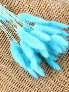 30/60 Pcs Pampas Dried Flowers, Dried Pampas Grass Feathers Decoration, Natural Dried Flowers, Reed Flower Stems Bundle, Natural Dried Pampas Grass Branches, Gorgeous Flowers, Fluffy Dried Plants, Vase Fillers, Decorate Home, Kitchen, Garden Party, Photoshoot, Flower Arrangement, Vase Decoration, Suitable For Kitchen, Home, Boho Decoration,Room Decor,Christmas,Christmas Decoration - Primary Color - View 21