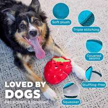 Outward Hound Tough Skinz Durable Squeaky Dog Toy With Two Tough Layers, Watermelon, Red, Medium - MàuF - Xem 4