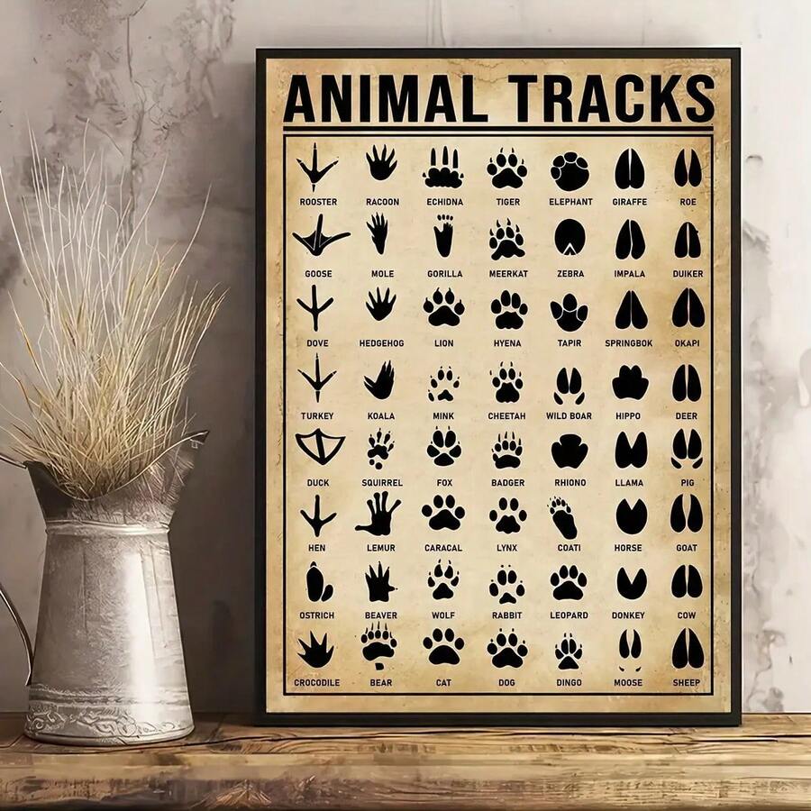 1 Pieza de Arte de Pared de Gráfico de Huellas de Animales Vintage - Perfecto para Decoración del Hogar y Decoración de Habitaciones - Póster Impreso en Lienzo, Sin Marco - transparente - Ver 1