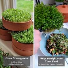 Verdant Republic Clay Sprouter Kit | Terracotta Tower With 3 Shallow Germinating Trays, Paper Discs & Free E-Book | 2 In 1 Sprouting Trays Ideal For Germinating Sprouts And Microgreens