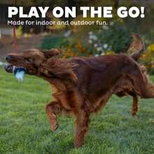 Outward Hound Tail Teaser Replacement Lure For Dog Teaser Wand, Fox - MàuD - Xem 5