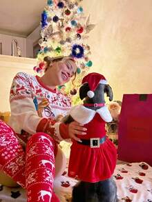 狗狗圣诞礼服，可爱小狗圣诞服装，圣诞礼服和帽子，冬季外套圣诞节节日服装，适合中小型犬猫宠物（S、M、L、XL） - 彩色 - 查看 10