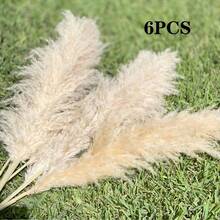 10/15/20 Bunches 39 Inch Tall Fluffy Natural Pampas Grass Bundles - Bohemian Farmhouse Wedding Arch & Home Decor, Christmas/Valentine's DIY Vase Filler, Living Room/Bedroom/Party Decoration, Floral Arrangement, Gift Wrapping, Shedless (Container Not Included) - Multicolor - View 15