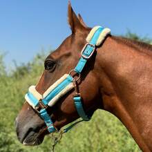 TGW RIDING High Quality Mane Tamer, Smooth Memory Fabric Abrasion-Resistant Outer Layer, Detachable Anti-Rub Fur Trim On Nose Bridge, Cheeks, And Nape, Quick Release Buckles, Available In Small, Medium, And Large Sizes - Multicolor - View 27