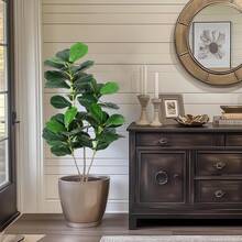 Artificial Fiddle Leaf Fig Tree,Faux Ficus Lyrata Plant,Faux Tall Ficus Tree,Fake Fig Silk Tree In Pot For Indoor Outdoor Home Office Living Room Bathroom Decor - 4 pies - Ver 6