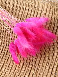 30/60 Pcs Pampas Dried Flowers, Dried Pampas Grass Feathers Decoration, Natural Dried Flowers, Reed Flower Stems Bundle, Natural Dried Pampas Grass Branches, Gorgeous Flowers, Fluffy Dried Plants, Vase Fillers, Decorate Home, Kitchen, Garden Party, Photoshoot, Flower Arrangement, Vase Decoration, Suitable For Kitchen, Home, Boho Decoration,Room Decor,Christmas,Christmas Decoration - Primary Color - View 23