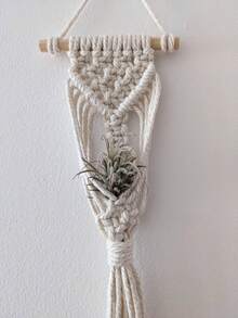Air Plant Holder Mini Plant Hanger Macrame Hanging - White - View 3