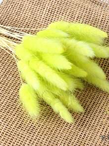 30/60 Pcs Pampas Dried Flowers, Dried Pampas Grass Feathers Decoration, Natural Dried Flowers, Reed Flower Stems Bundle, Natural Dried Pampas Grass Branches, Gorgeous Flowers, Fluffy Dried Plants, Vase Fillers, Decorate Home, Kitchen, Garden Party, Photoshoot, Flower Arrangement, Vase Decoration, Suitable For Kitchen, Home, Boho Decoration,Room Decor,Christmas,Christmas Decoration - Primary Color - View 18