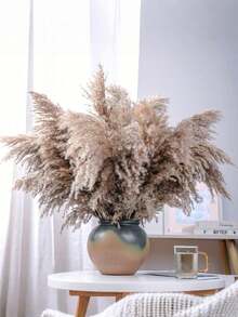 10Pcs/Box Artificial Pampas Grass Decoration 17.3 Inch Small Fake Reed Feather Bouquet, Brown Pampas Grass Decoration Bohemian Style Room Floral Decoration Wedding Vase Door Wreath Decoration, Bedroom Decor, Boho Wedding Decor, Floor Decor, Ceremony Backdrop Artificial Bouquet, Mother's Day Gift, Birthday Anniversary Gift, DIY Wreath Decor