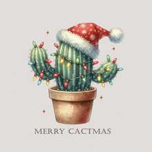 1/2/3 pièces Patchs thermocollants en fer de cactus de Noël, cactus portant un bonnet de Père Noël et scintillant - Autocollants de transfert de chaleur DTF DIY avec designs de cactus, pot et fil, convenant aux tissus, jeans, sacs, oreillers, sweats à capuche, t-shirts - Décoration de cactus de Noël, application au fer précise (sans couture requise) - Convient pour Noël et toute l'année - Idéal pour les débutants et les experts