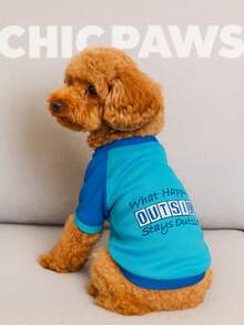 1 Piece, HOLD HONEY, Pet Clothing, Summer Clothing, Puppy Clothing, Pet Clothing, Mesh Fabric, Dog, Summer, Breathable, Mesh, Mesh, T-Shirt, Thin, Short Sleeved, Teddy, Bixiong, Bomei