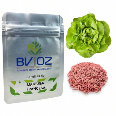 1g, Semillas Lechuga Francesa, Uso Agrícola, Cultivo.