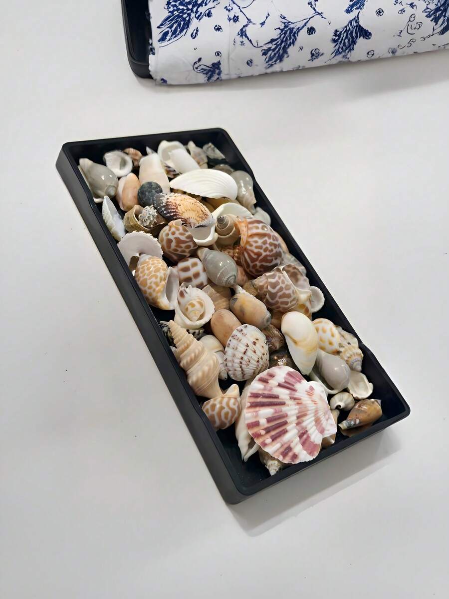 50克、100克/袋彩色贝壳和海螺沙 - 贝壳和海螺工艺品、水族箱造景、自然海洋风格家居装饰、珠宝珠贝壳DIY材料 - Random(隨機色) - 查看 1