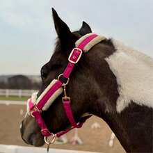 TGW RIDING High Quality Mane Tamer, Smooth Memory Fabric Abrasion-Resistant Outer Layer, Detachable Anti-Rub Fur Trim On Nose Bridge, Cheeks, And Nape, Quick Release Buckles, Available In Small, Medium, And Large Sizes - Multicolor - View 11