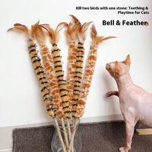 1pc New Realistic Feather Duster, Cat Teaser Wand With Feather & Sisal Rope Handle, Scratch & Bite Resistant, Helps Cats Relieve Boredom And Consume Energy, Pet Supplies - Multicolor - View 1
