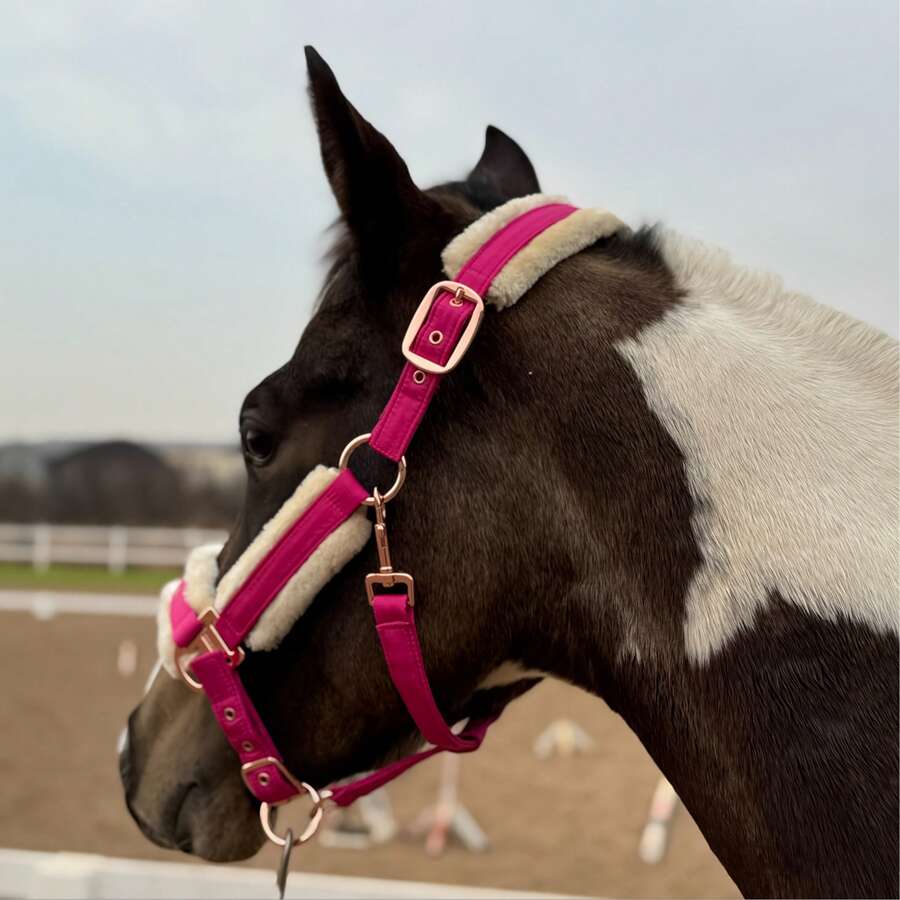 TGW RIDING High Quality Mane Tamer, Smooth Memory Fabric Abrasion-Resistant Outer Layer, Detachable Anti-Rub Fur Trim On Nose Bridge, Cheeks, And Nape, Quick Release Buckles, Available In Small, Medium, And Large Sizes - Multicolor - View 1