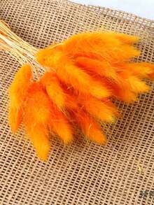 30/60 Pcs Pampas Dried Flowers, Dried Pampas Grass Feathers Decoration, Natural Dried Flowers, Reed Flower Stems Bundle, Natural Dried Pampas Grass Branches, Gorgeous Flowers, Fluffy Dried Plants, Vase Fillers, Decorate Home, Kitchen, Garden Party, Photoshoot, Flower Arrangement, Vase Decoration, Suitable For Kitchen, Home, Boho Decoration,Room Decor,Christmas,Christmas Decoration - Primary Color - View 19