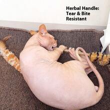 1pc New Realistic Feather Duster, Cat Teaser Wand With Feather & Sisal Rope Handle, Scratch & Bite Resistant, Helps Cats Relieve Boredom And Consume Energy, Pet Supplies - Multicolor - View 6