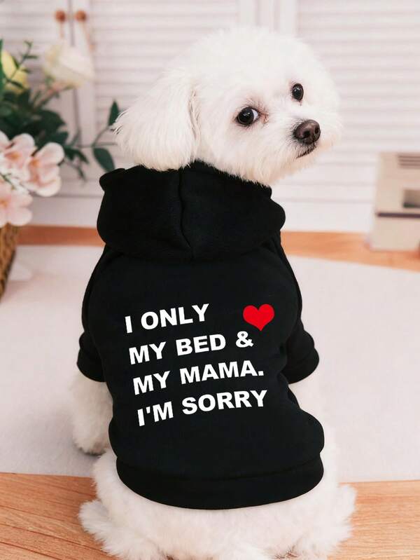 1pc Pet Dog Hoodie, Warm Autumn/Winter Outfit, Hooded Sweatshirt For Teddy, Poodle, Bichon Frise, Small Dogs, Fluffy Cats, Anti-Shedding