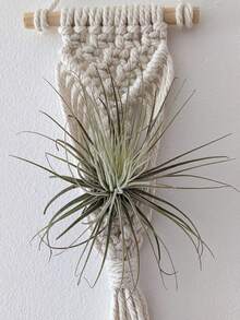 Air Plant Holder Mini Plant Hanger Macrame Hanging - White - View 7