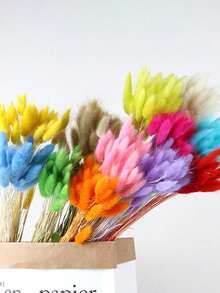 30/60 Pcs Pampas Dried Flowers, Dried Pampas Grass Feathers Decoration, Natural Dried Flowers, Reed Flower Stems Bundle, Natural Dried Pampas Grass Branches, Gorgeous Flowers, Fluffy Dried Plants, Vase Fillers, Decorate Home, Kitchen, Garden Party, Photoshoot, Flower Arrangement, Vase Decoration, Suitable For Kitchen, Home, Boho Decoration,Room Decor,Christmas,Christmas Decoration - Primary Color - View 6