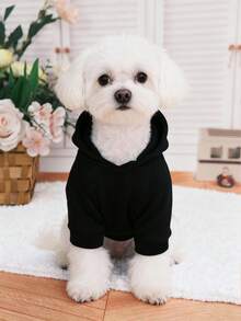 1pc Pet Dog Hoodie, Warm Autumn/Winter Outfit, Hooded Sweatshirt For Teddy, Poodle, Bichon Frise, Small Dogs, Fluffy Cats, Anti-Shedding - Black - View 4
