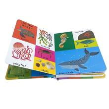 Lachilly First 100 Words/数字/颜色/爱/动物/卡车/自然和恐龙英语词汇书，儿童启蒙英语学习书，适合家庭和学校课堂的英语教材