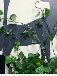 1 peça/2 peças Dispositivo de Fixação de Roupão em Forma de Folha Verde, Artesanato de Parede para Escalada de Plantas Verdes, Clipe de Fixação de Videira de Melancia, Dispositivo de Fixação de Plantas Verdes Sem Rastro, Estrutura de Suporte de Tração, Adequado para Decoração de Jardim Interno e Externo