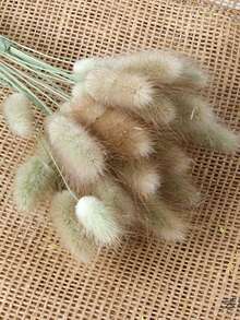 30/60 Pcs Pampas Dried Flowers, Dried Pampas Grass Feathers Decoration, Natural Dried Flowers, Reed Flower Stems Bundle, Natural Dried Pampas Grass Branches, Gorgeous Flowers, Fluffy Dried Plants, Vase Fillers, Decorate Home, Kitchen, Garden Party, Photoshoot, Flower Arrangement, Vase Decoration, Suitable For Kitchen, Home, Boho Decoration,Room Decor,Christmas,Christmas Decoration - Primary Color - View 15