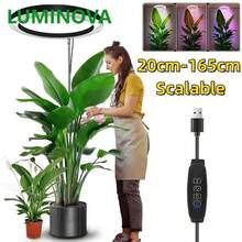 Adjustable Height Indoor Plant Growth Light With Auto Timer, USB Powered, Full Spectrum, 5V Low Voltage, Home Use - Black and White - View 4