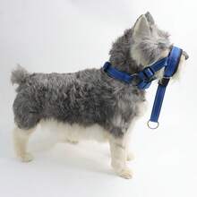 Adjustable Dog Muzzle, Anti-Bite Anti-Swallow Anti-Lick, Pet Muzzle, Training Leash Set, Suitable For Small And Large Dogs, And Comfortable Breathable