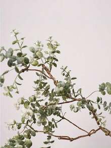 36.22-Inch Realistic Artificial Eucalyptus Branch With White Flowers - Greenery Indoor/Outdoor Faux Greenerry, Perfect For Weddings And Home Decorations Tabletop Centerpiece Decoration - Green - View 9